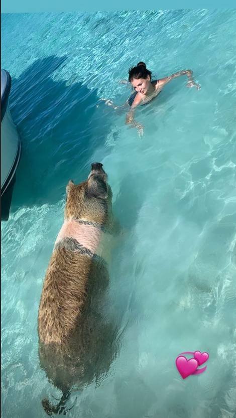 猪年摸猪头!祖巴茨携未婚妻共游浪漫猪岛