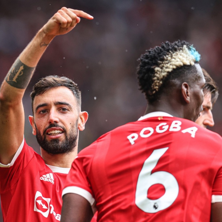 今日趣图：三弟，二哥只能帮你到这了