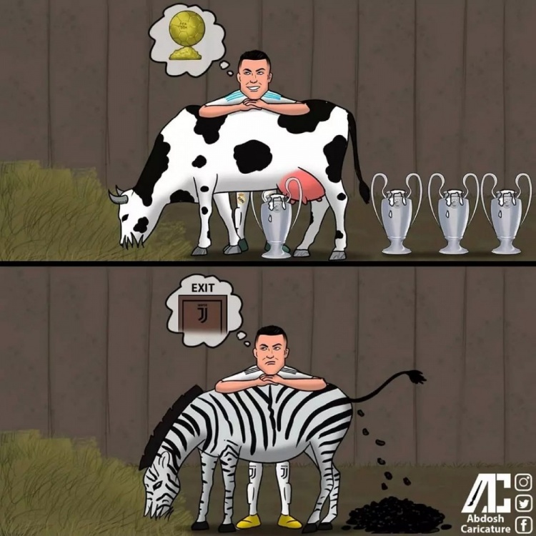 今日趣图:仁萨情未了