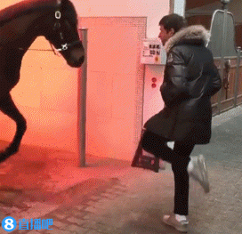 今日趣图:又到了FIFA球员数值大讨论时刻