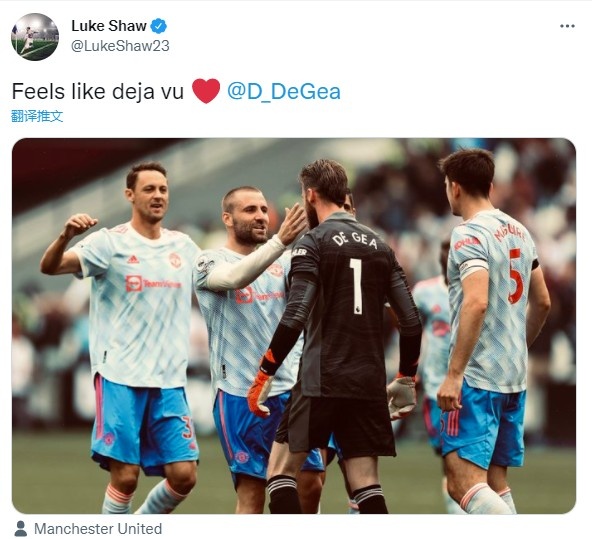 卢克肖致谢德赫亚：似曾相识的感觉