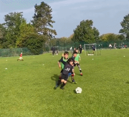 今日趣图:条条大路通纽卡