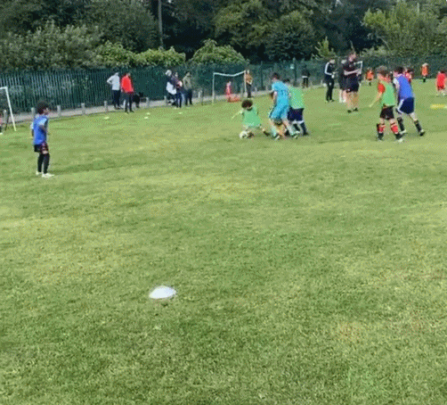 今日趣图:条条大路通纽卡