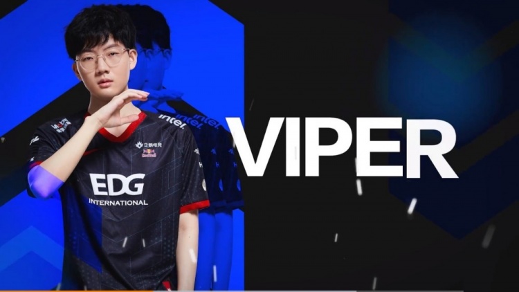 前grf监督透露:viper去ns的可能性还是存在的