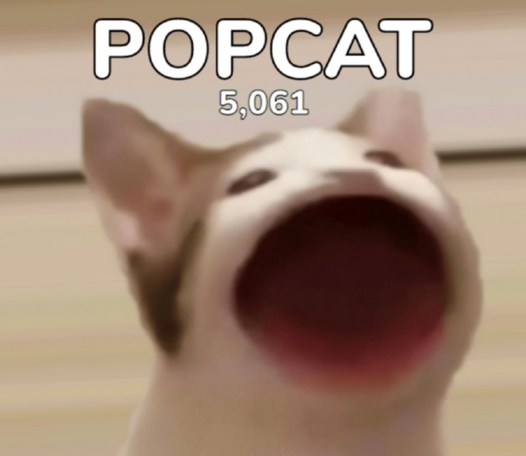 1《popcat(啵嘴猫)