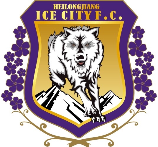 黑龙江冰城签下32岁后卫于帅、厦门鹭岛前锋雷永驰和门将张鲁浩