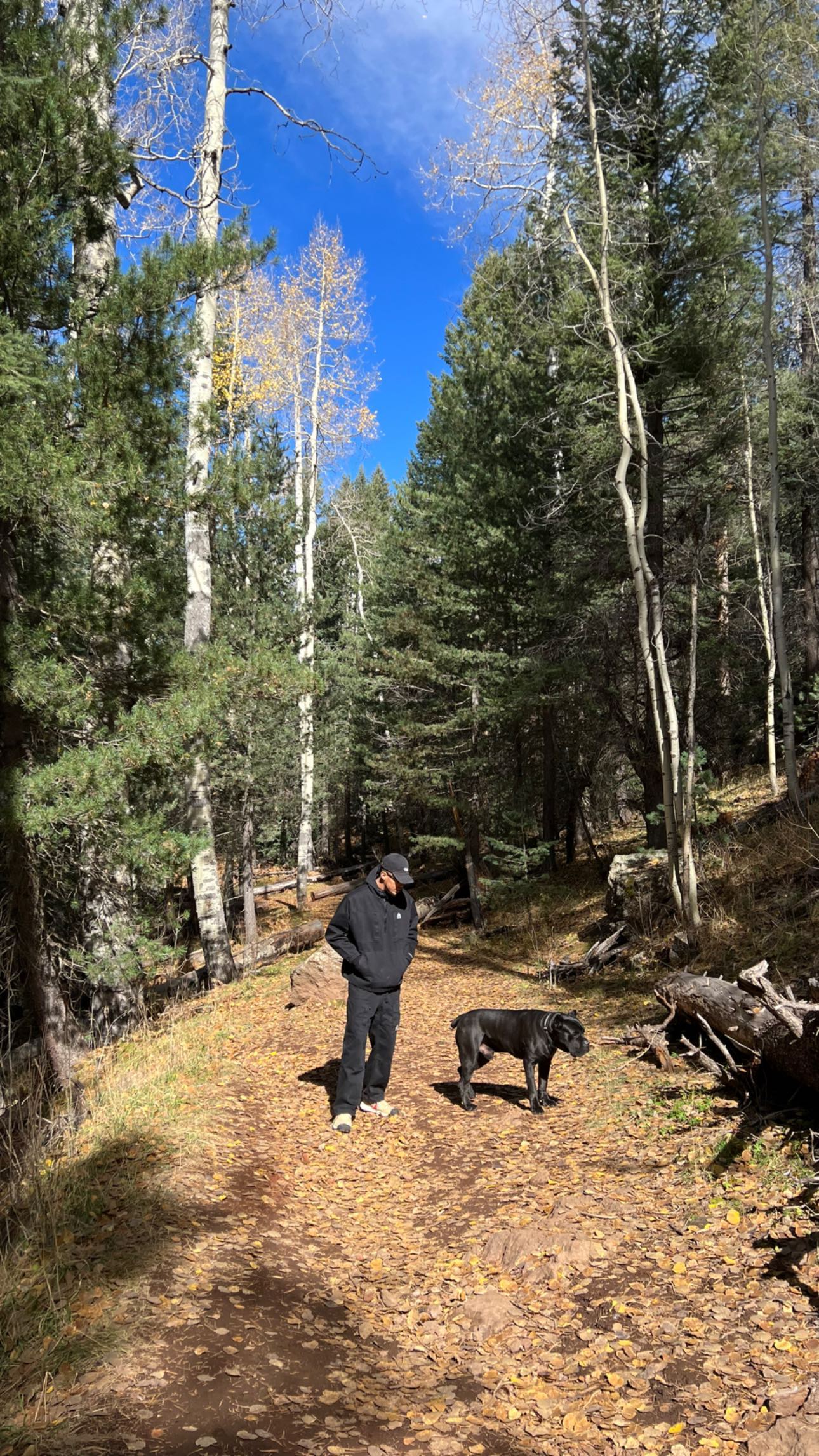 忙里偷得半日闲！布克携爱犬出游 与女友詹娜一起在森林中漫步