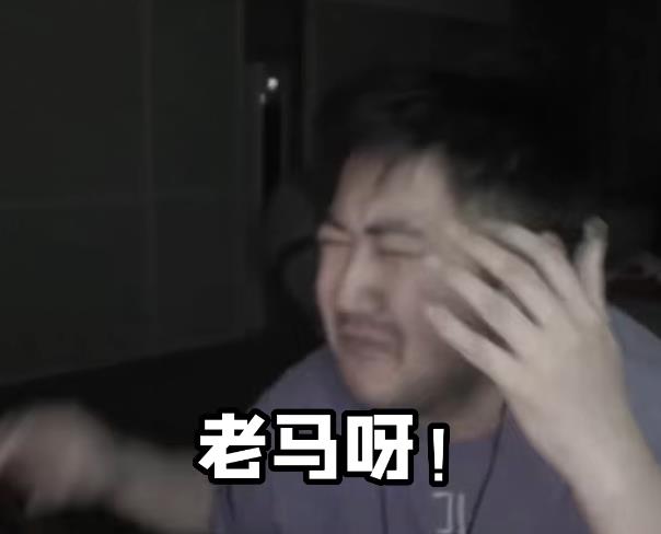 中国主播大显神威！《鹅鸭杀》Steam在线高达37万人 服务器玩崩了