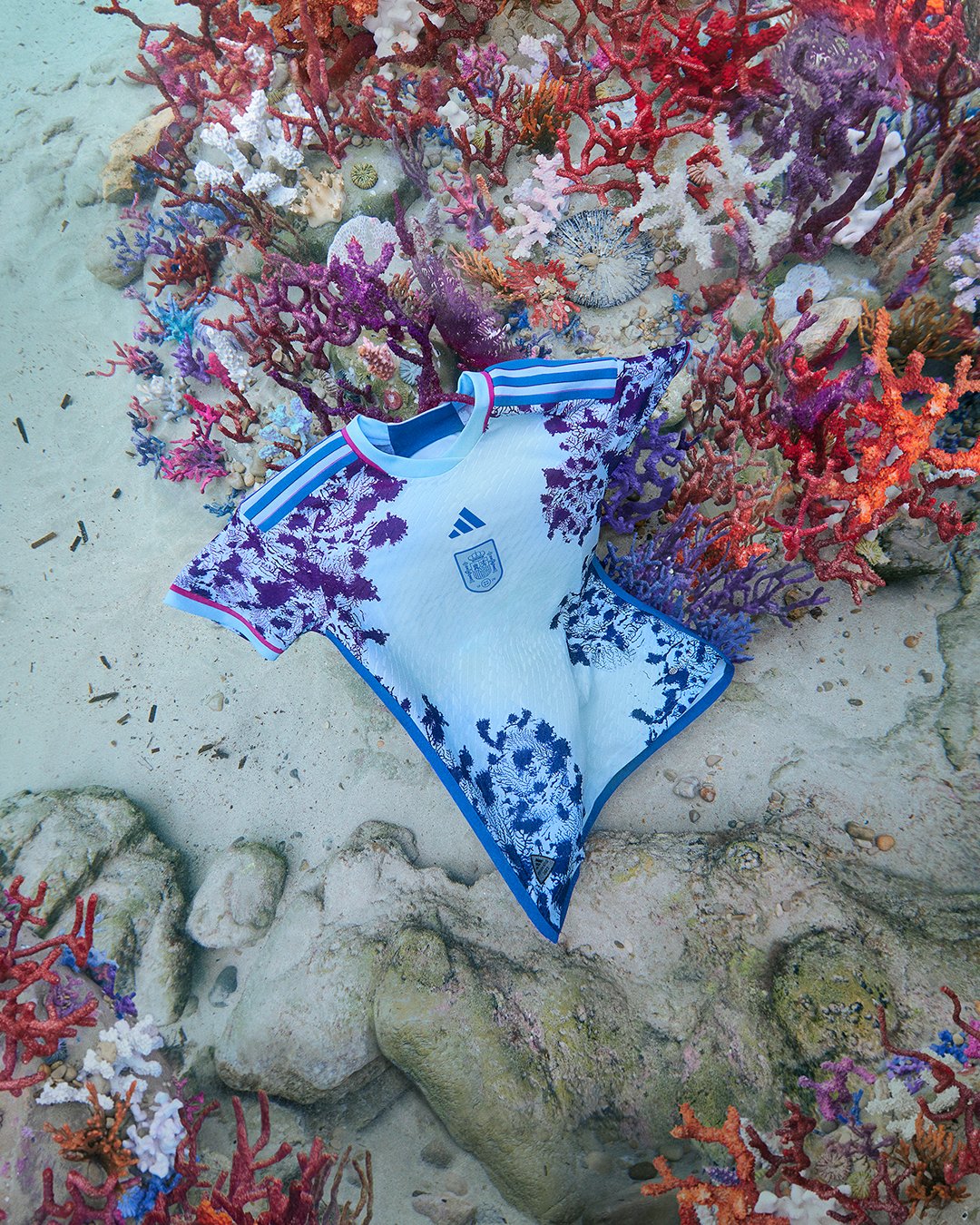 今日趣图：梅老板转头一看，大马丁你们在干什么？！