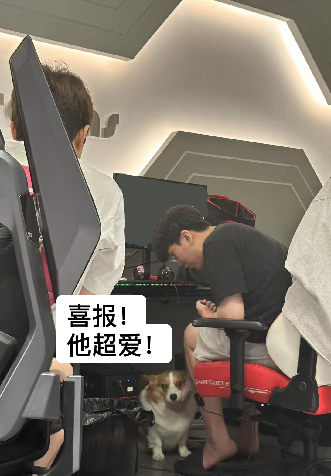 JDG工作人员分享照片：Ruler在WE俱乐部撸狗，选手拍摄宣传片花絮等