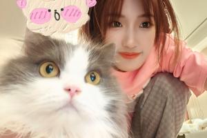艾特·莫西洛