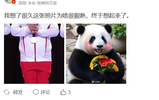 网友分享xinq摘金时刻趣图：怎么越看越像大熊猫？
