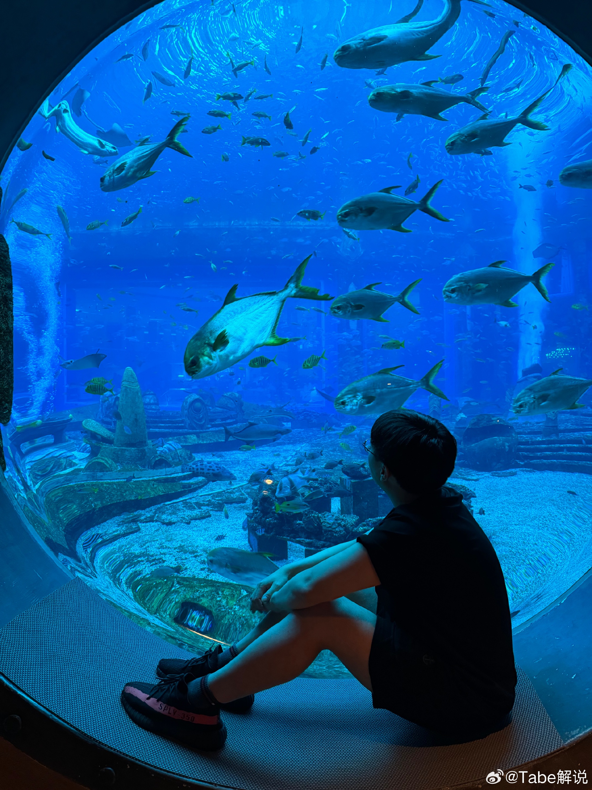 假期第一弹~BLG主教练Tabe分享照片：和妻子去海洋馆看海豚🐬