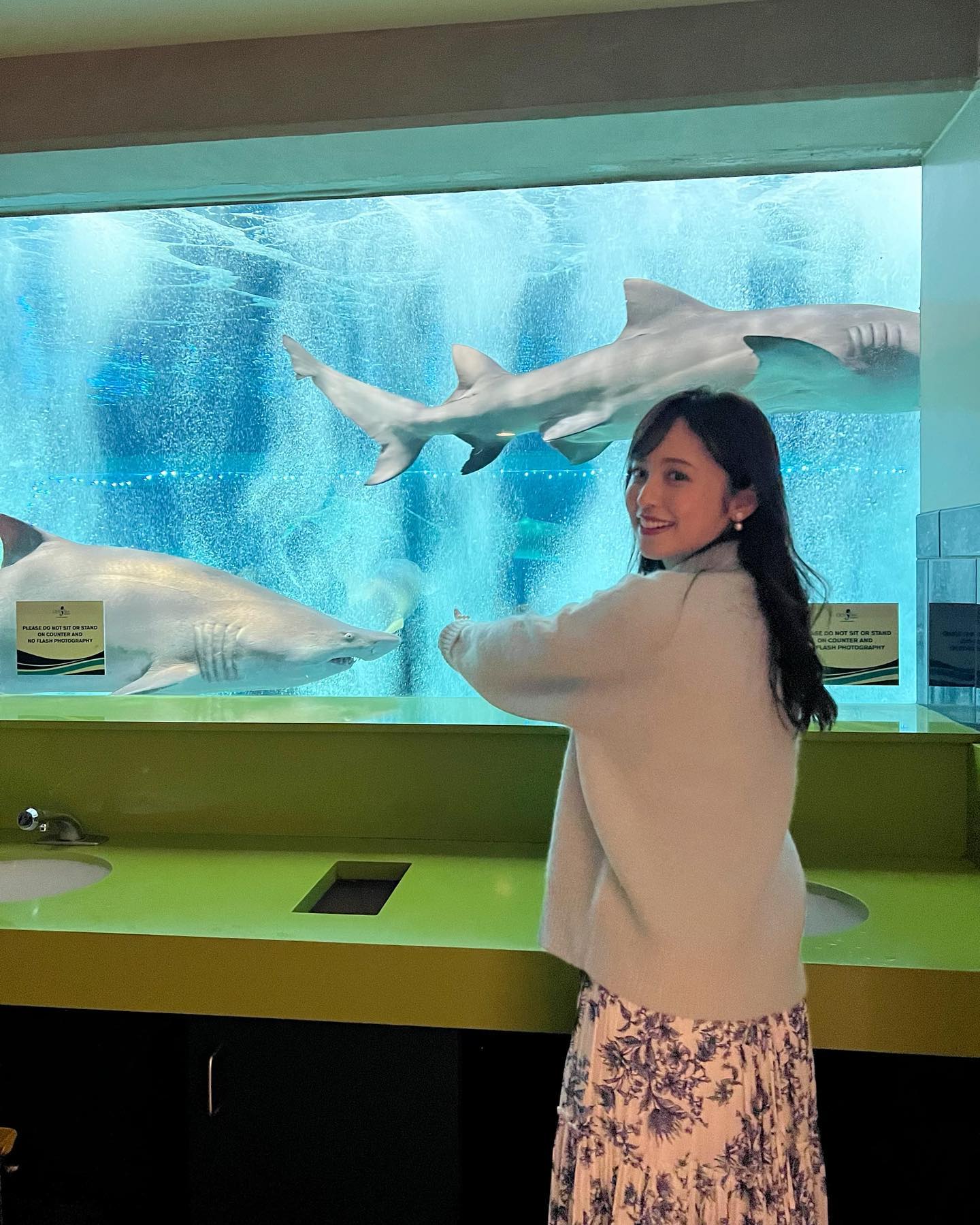 跟着丈夫游遍美国!渡边妻子晒亚利桑那水族馆 WC里竟能看到大鲨鱼