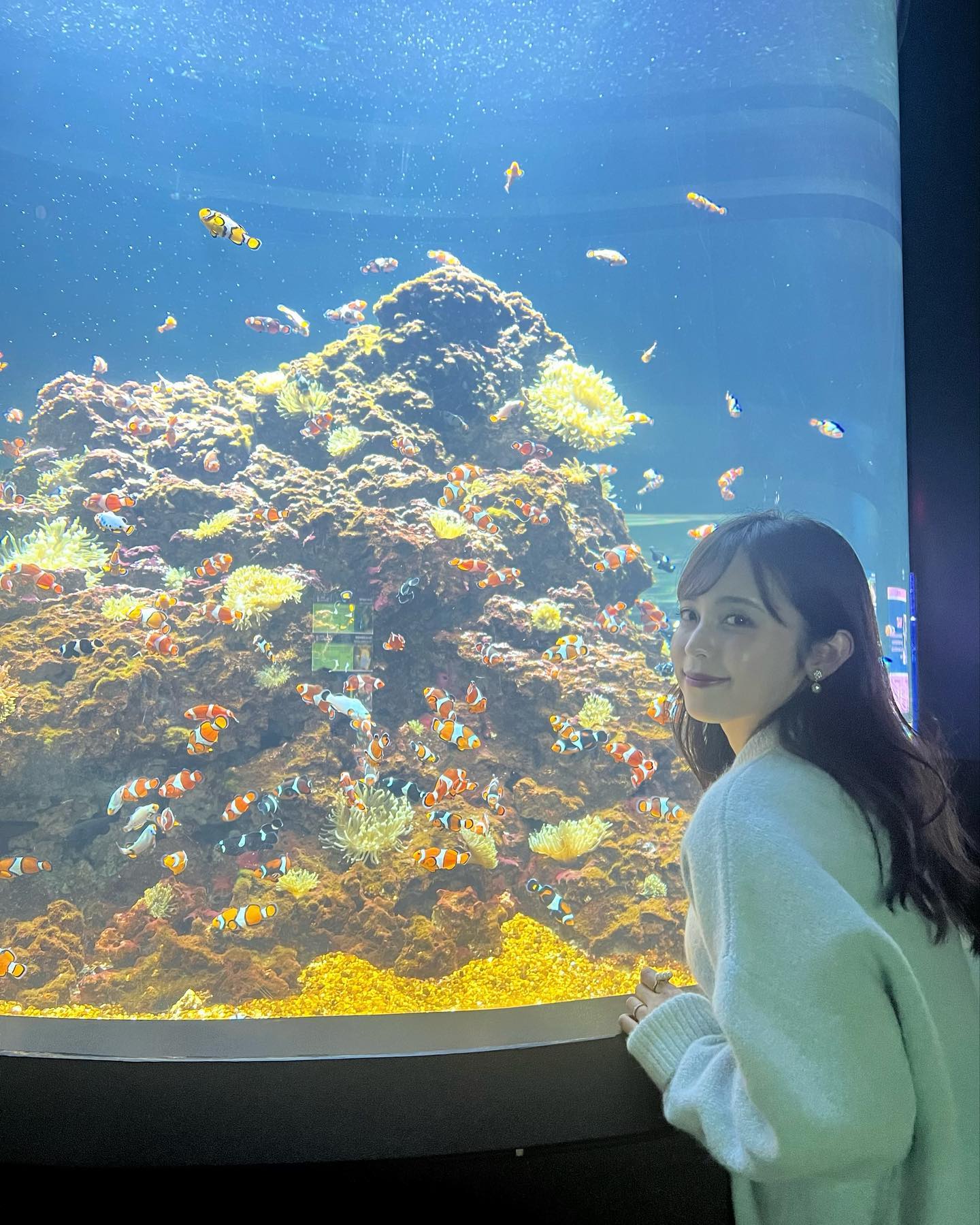 跟着丈夫游遍美国!渡边妻子晒亚利桑那水族馆 WC里竟能看到大鲨鱼