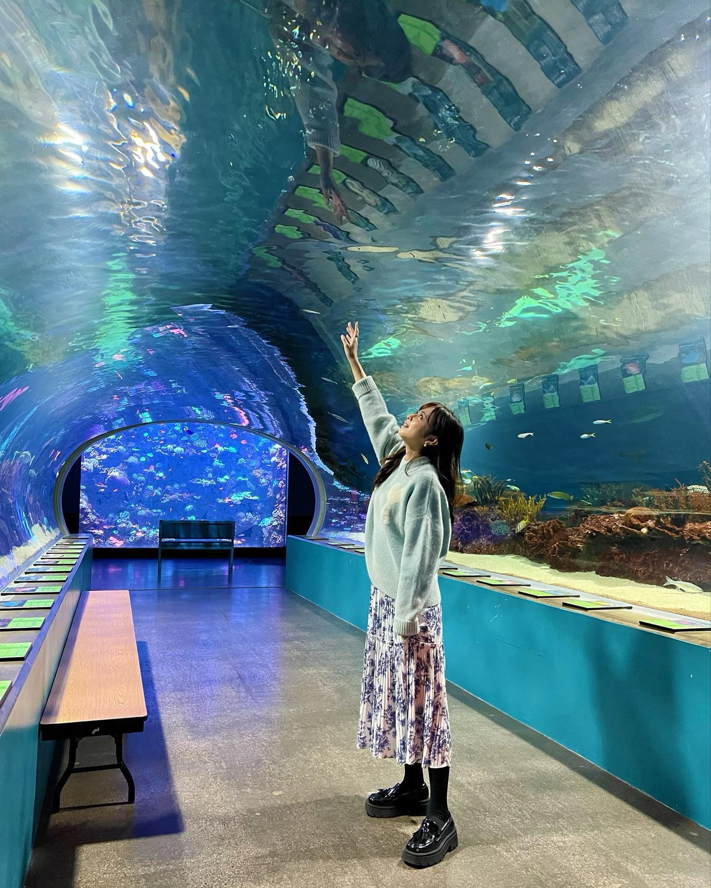 跟着丈夫游遍美国!渡边妻子晒亚利桑那水族馆 WC里竟能看到大鲨鱼