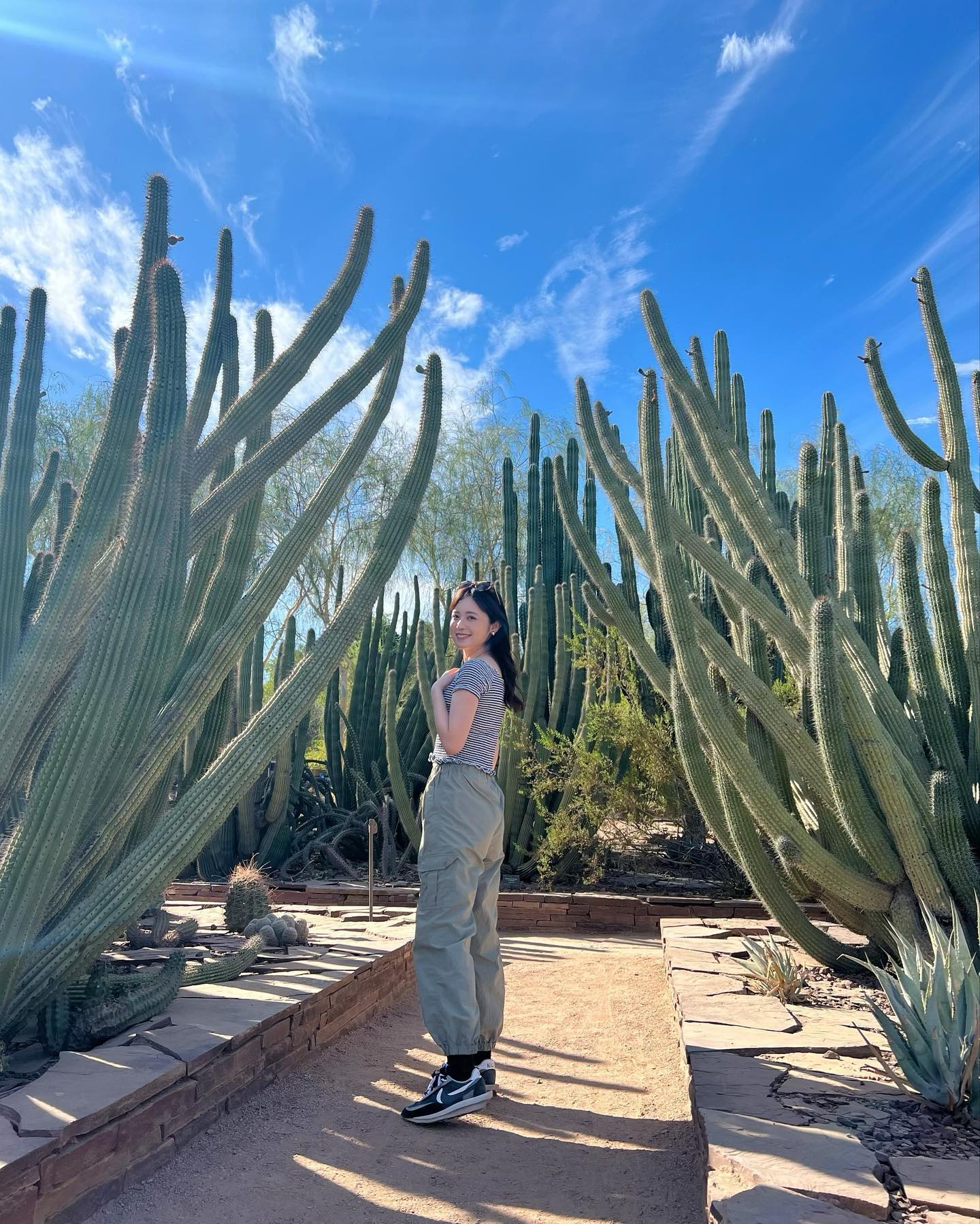 跟着丈夫游遍美国!渡边妻子晒亚利桑那水族馆 WC里竟能看到大鲨鱼