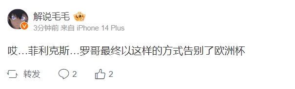 毛毛看葡萄牙点球大战失利：哎 菲利克斯和罗哥 最终这样方式告别欧洲杯