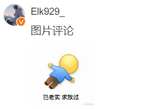 知錯(cuò)了！ELK刪除闖紅燈騎單車照 重發(fā)綠燈通行照：已老實(shí)求放過(guò)