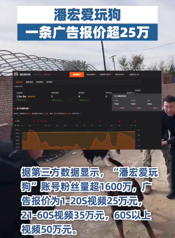 网红训狗师潘宏直播洗狗导致不适去世引争议 广告报价高达50万元