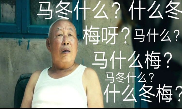 🤔😂刚听说东契奇-浓眉交易时：什么冬梅（东眉）？