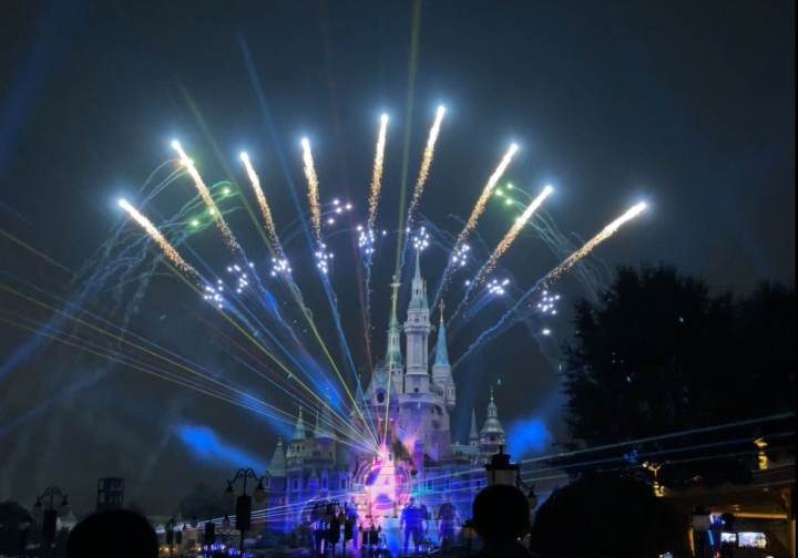 【万博电竞】AL都是好兄弟啊!Tarzan更博迪斯尼游玩照:带孩子们迪士尼打卡✅