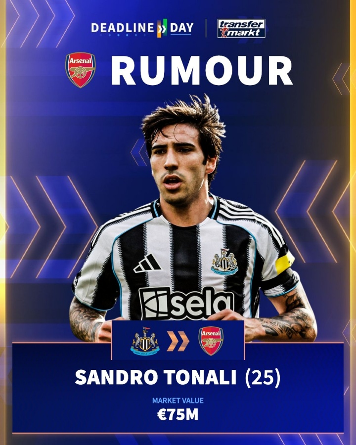 砍树！纽卡跟队：纽卡立即否认了阿森纳与托纳利传闻，没有接触