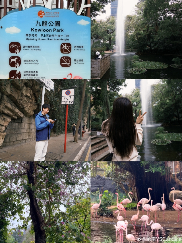 余霜晒与管泽元线下观赛LCK决赛合照:徒步👣【球盟会】