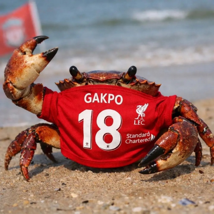 【足球】今日趣图：今天请别叫我神秘内切男，我是狼队MVP、右后卫加克波(图4)