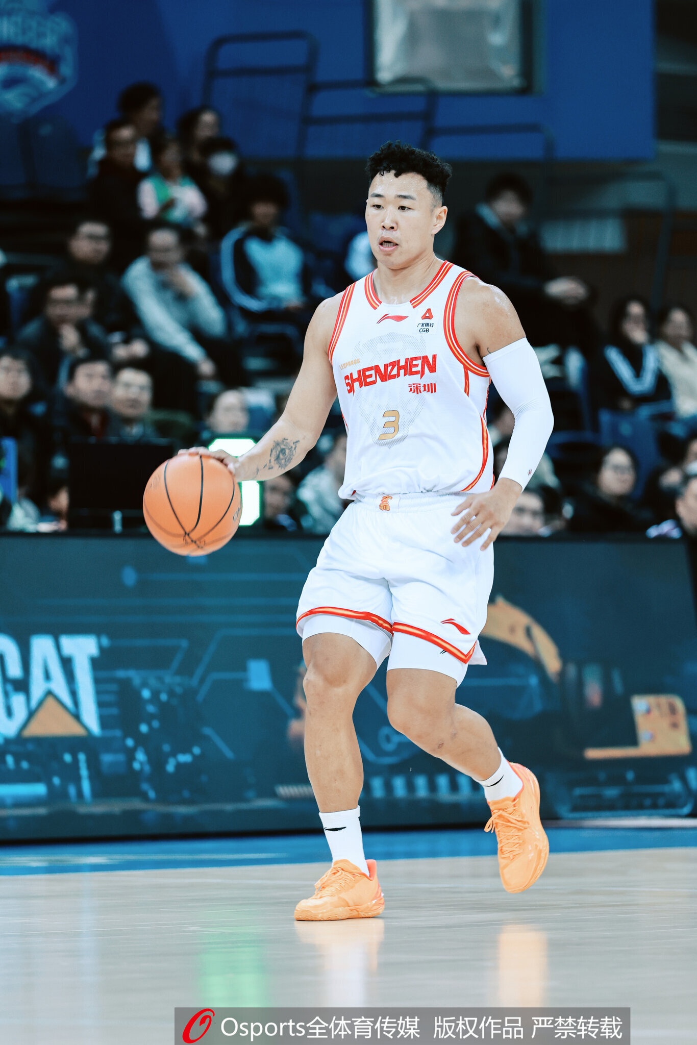 媒体人：综合数据&球队成绩 今年的MVP大概就是贺希宁胡金秋之争