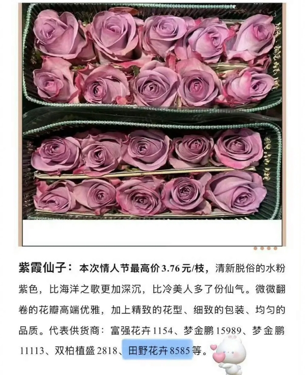 豆瓣粉丝分享：Meiko创业“姚安田野农业”卖花，并登上农业龙头企业认定名单