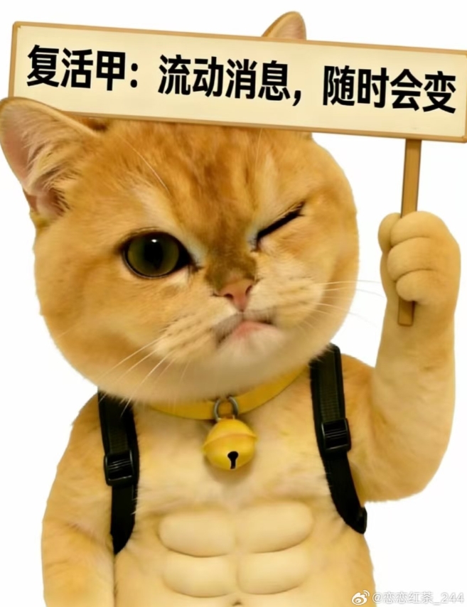 LPL爆料：iG第二赛段前期可能是小中单打比赛，Rookie随时加入