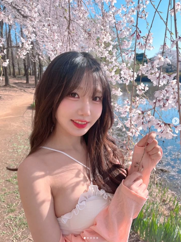 Showmaker美女粉丝晒照:今年的樱花盛开了🌸🌸🌸