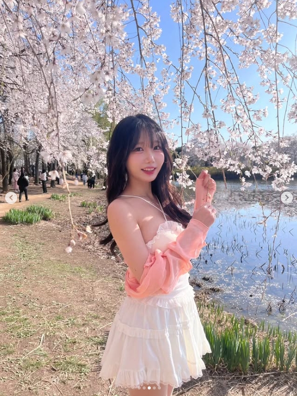 Showmaker美女粉丝晒照:今年的樱花盛开了🌸🌸🌸