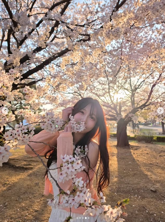 Showmaker美女粉丝晒照:今年的樱花盛开了🌸🌸🌸