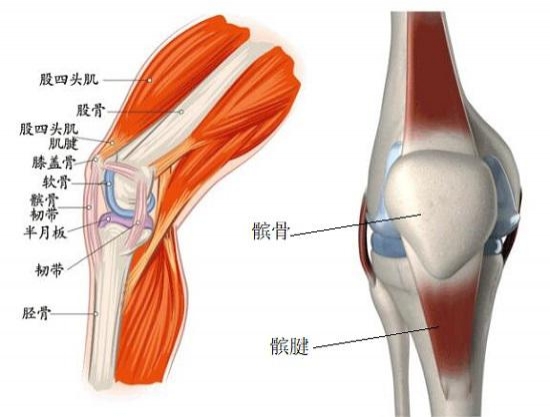 [湖人]火箭0-1湖人！杜兰特髌腱深度挫伤多严重？若带伤复出代价几何？(图2)