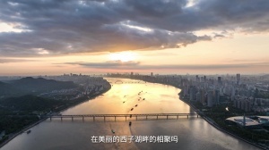 绿茵 202609211908183841_thumb