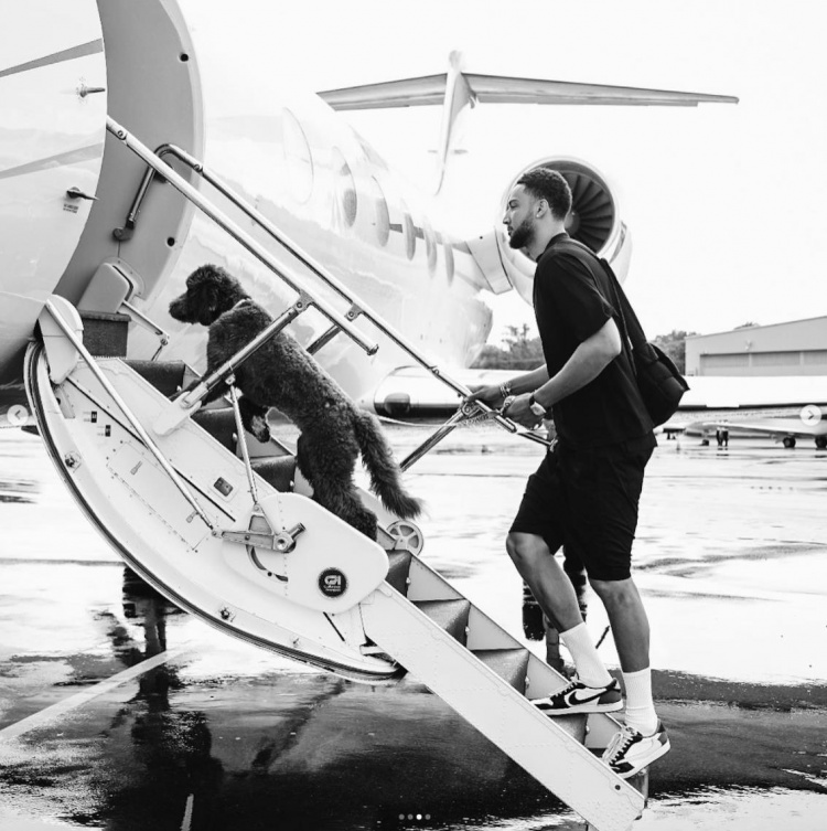 西蒙斯INS晒与爱犬一起乘私人飞机出行 还给狗狗戴了墨镜