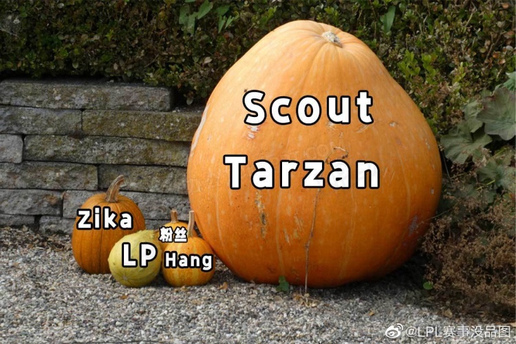 LPL赛事没品图:Tarzan比了个长方形