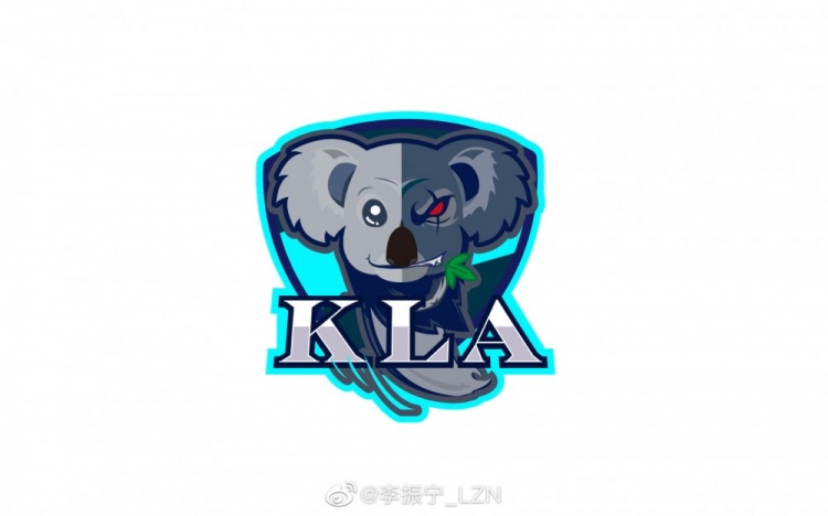 艺人李振宁发长文:人生第一次组建战队 不足之处 愿大家多多包涵