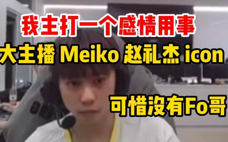 Ale十大选手：主打一个感情用事，投了大主播 meiko jiejie icon