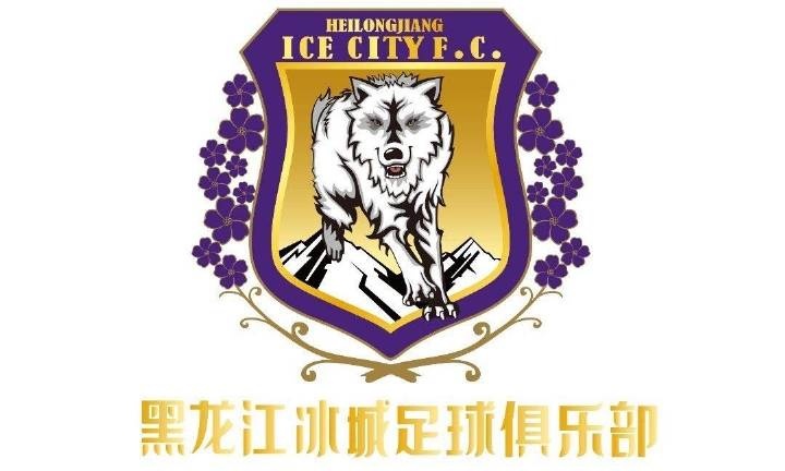 官方：唐诗、罗马里奥、维迪奇等22名球员加盟黑龙江冰城