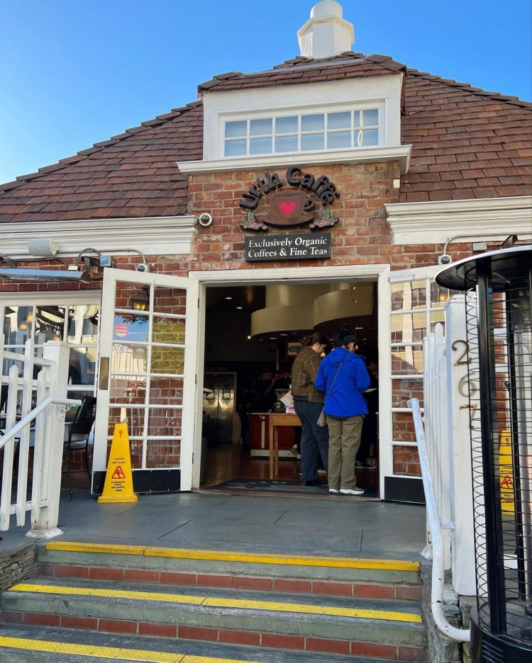 渡边雄太娇妻带你探访咖啡店：自从在日本就爱上了它?