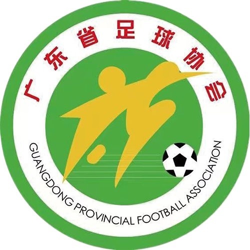 2024中国太平中国足球协会女子超级联赛各队Logo ​​​