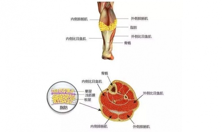 每年都伤一大堆，皇马是否要练得这么猛？