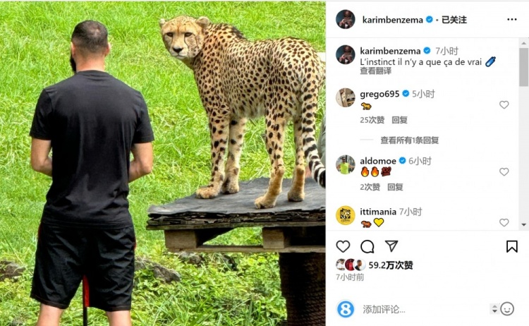 本泽豹🐆本泽马社媒晒与猎豹同框照片：本能决定一切