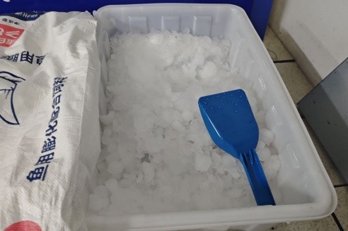 [体育报道]白天最高体感温度43℃！扬州队主场设置冰桶供球迷降温使用(图1)