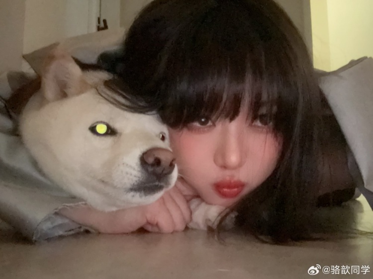 主持骆歆晒照：作息炸了，趁机和我的小狗拍了一万张照片
