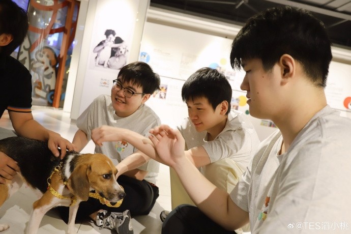 TES晒基地宠物：让让都让让！ 比格大王驾到
