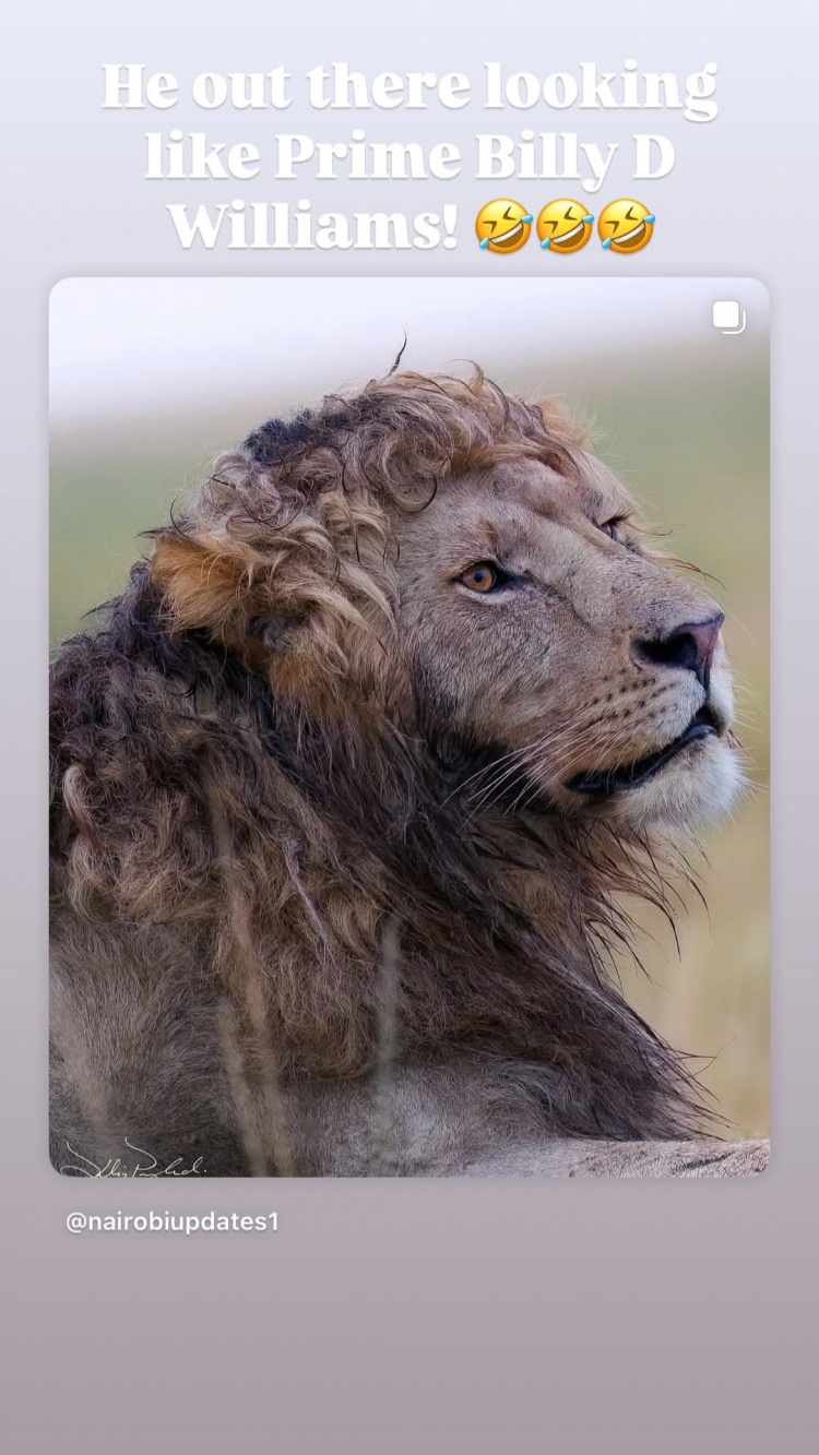 羡慕啊！詹姆斯转发卷毛狮子照：你们很幸运我的头发不再生长了！